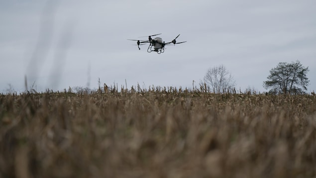 Un drone au-dessus d'un champ.