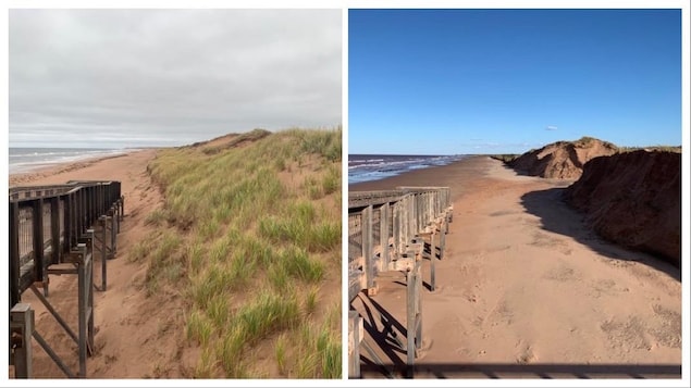 La dune de Brackley Beach avant et après Fiona.