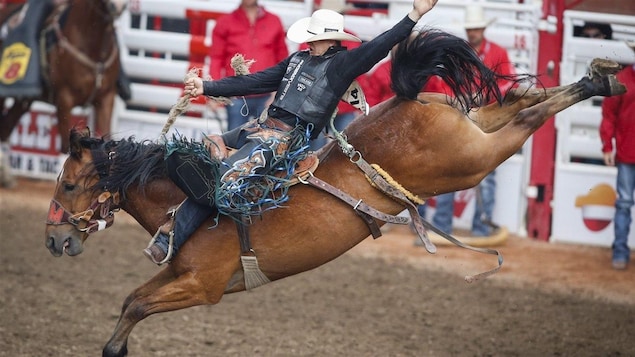 Un homme fait du rodéo sur un cheval.