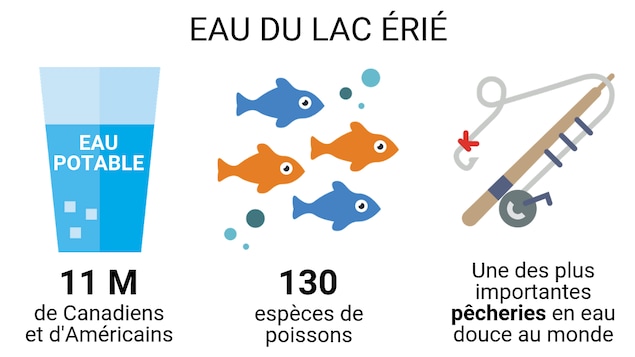 Source d’eau potable pour plus de 11 millions de Canadiens et d'Américains, abrite 130 espèces de poissons et l'une des plus importantes pêcheries en eau douce au monde
Source d’eau potable pour plus de 11 millions de Canadiens et d'Américains, abrite 130 espèces de poissons et l'une des plus importantes pêcheries en eau douce au monde