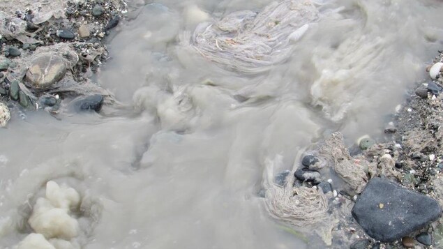 Un filet d'eau grise s'écoule sur la plage, où on peut voir plusieurs déchets. Un filet d'eau grise s'écoule sur la plage, où on peut voir plusieurs déchets.