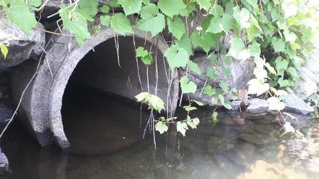Un tuyau de béton menant à la rivière.