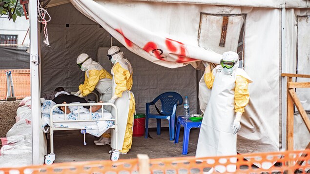  Épidémie d’Ebola en RDC : le bilan atteint 600 morts, selon l’OMS 