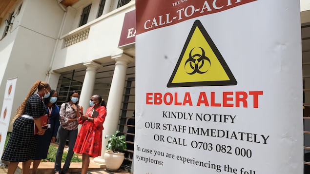 Plus de 10 000 cas du virus Ebola recensés en Afrique