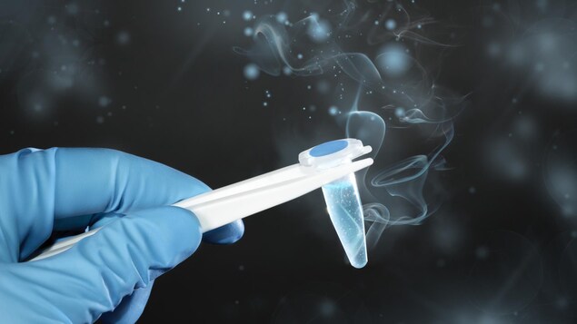 Un échantillon de sperme dans une éprouvette.