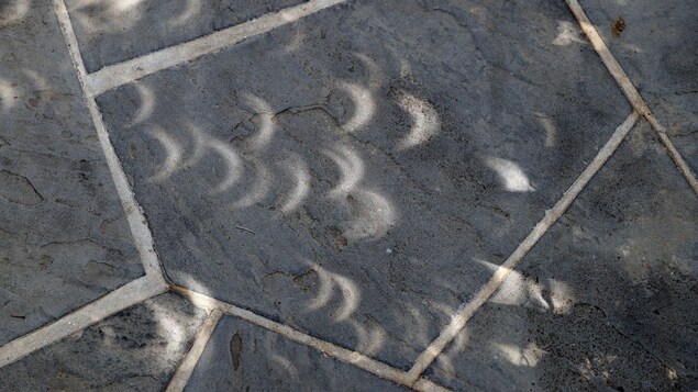 La lumière qui passe à travers les feuilles fait apparaître au sol le phénomène de l'éclipse solaire, ici sur un trottoir de Washington. La lumière qui passe à travers les feuilles fait apparaître au sol le phénomène de l'éclipse solaire, ici sur un trottoir de Washington.