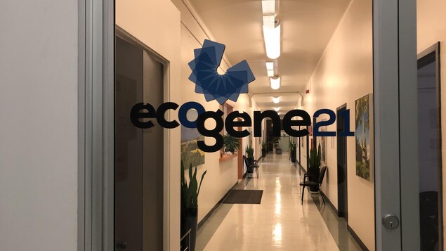 Ecogène-21 participera à un vaste projet d’essais cliniques virtuels