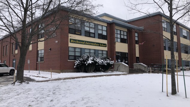 Un projet pilote pour combattre la discrimination dans les écoles de l’Î.-P.-É.