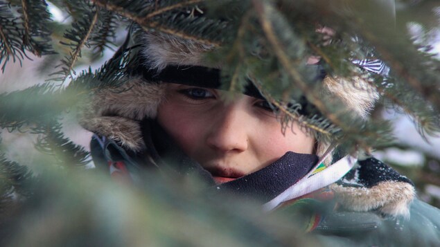 Le visage d'un garçon avec un chapeau de musher à travers des branches de sapin.