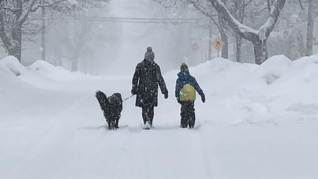 Tempête : plusieurs écoles fermées au Nouveau-Brunswick