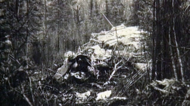 Une photo en noir et blanc des décombres d'un avion dans une zone boisée Une photo en noir et blanc des décombres d'un avion dans une zone boisée