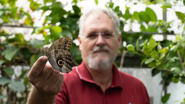 L’exposition annuelle de papillons de l’Université Carleton tire à sa fin