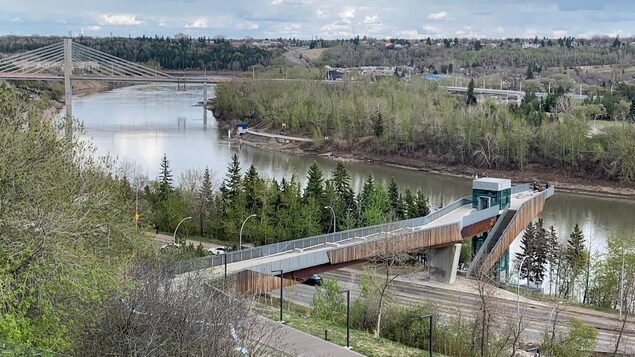 Edmonton veut protéger les arbres sur les terrains privés