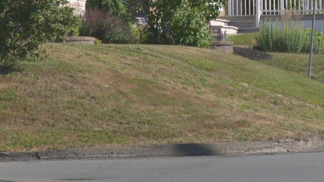 Plusieurs pelouses sont jaunies par le manque d'eau à Edmundston. Plusieurs pelouses sont jaunies par le manque d'eau à Edmundston.
