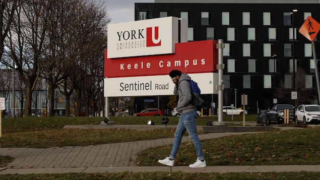 Plusieurs étudiants font face à des problèmes de santé mentale au cours de leurs études universitaires.