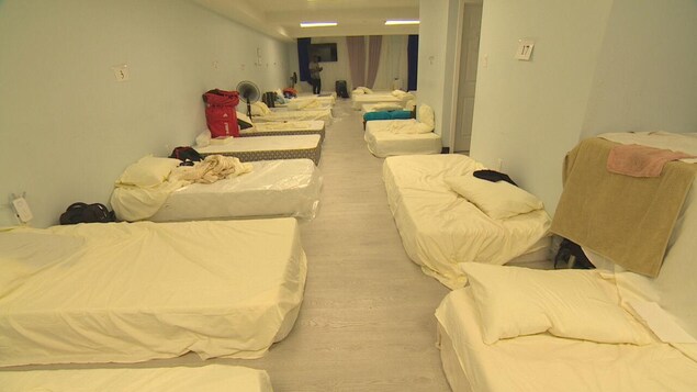 Une dizaine de matelas au sol dans une pièce.