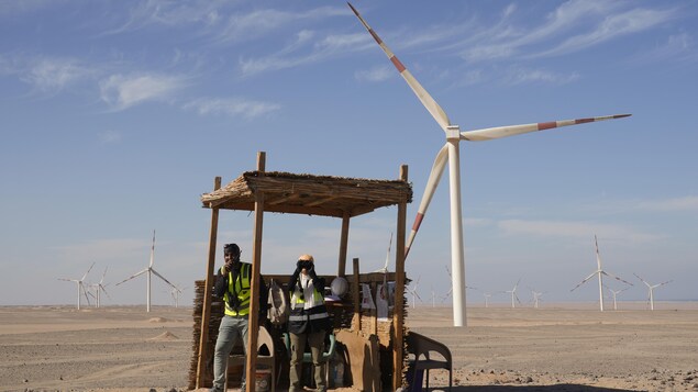 COP27 sur les changements climatiques : voici ce que vous devez savoir