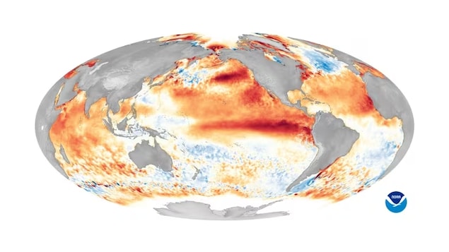 El Niño Is Back Heres What It Means For Canada Radio Canadaca