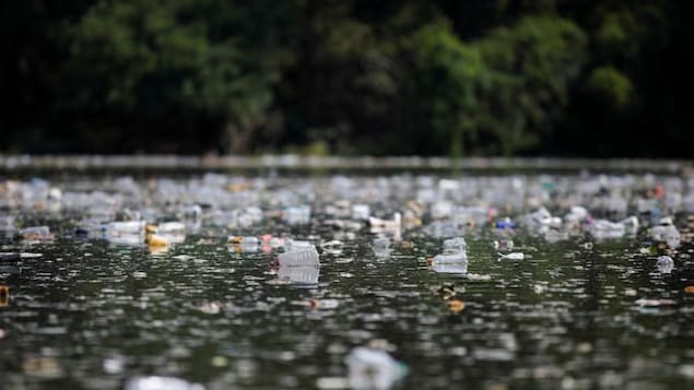 Plastic bottles float on the water of the El Cerron Grande reservoir in Potonico, El Salvador. 
