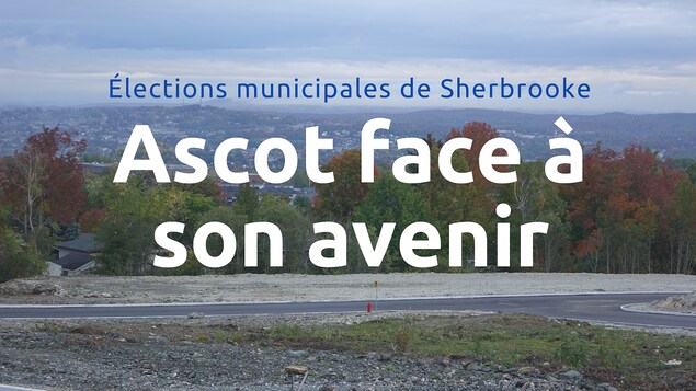 Mon quartier « mal aimé » d’Ascot : qu'en pensent les candidats?