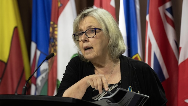 Green Party leader Elizabeth May speaks while referencing a copy of a public security report during a news conference, in Ottawa, Tuesday, June 11, 2024. THE CANADIAN PRESS/Adrian Wyld