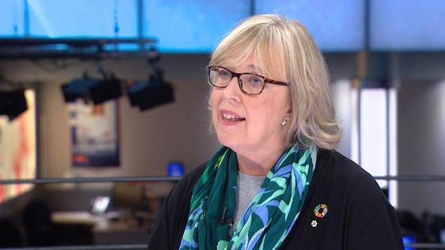Elizabeth May sur un plateau de télévision.