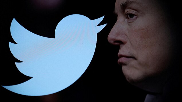 Le logo de Twitter face au visage mécontent de son récent propriétaire Elon Musk.