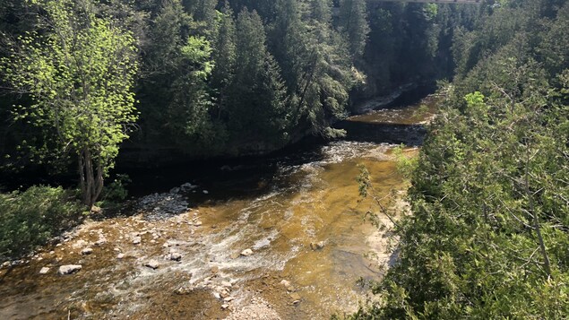 « La nappe phréatique de la région est très vulnérable, affirme Robin Gow, une résidente d'Elora. On ne sait pas s'il y a de l'eau en abondance. « La nappe phréatique de la région est très vulnérable, affirme Robin Gow, une résidente d'Elora. On ne sait pas s'il y a de l'eau en abondance.