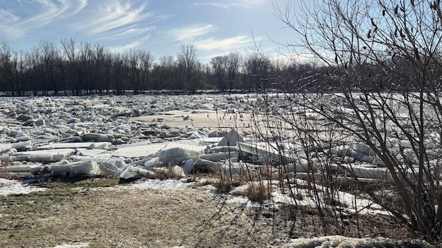 Des morceaux de glace sont dans une rivière.