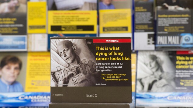 Un exemple d'emballage neutre de paquet de cigarettes placé devant une variété de paquets de cigarettes. Un exemple d'emballage neutre de paquet de cigarettes placé devant une variété de paquets de cigarettes.