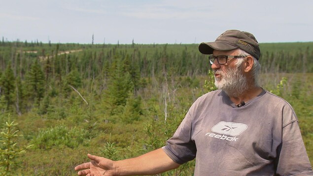 Émilien Gaudreault, cueilleur de thé du Labrador Émilien Gaudreault, cueilleur de thé du Labrador