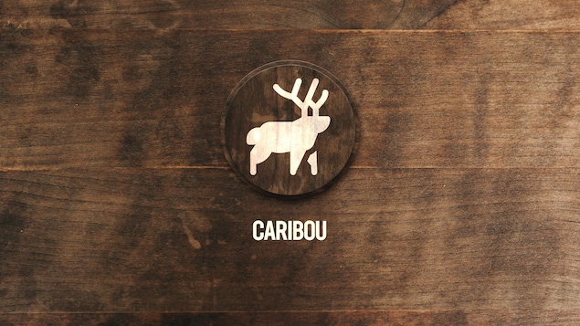 Illustration de caribou sur fond de planche de bois.