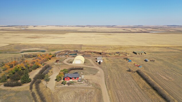 Vue aérienne d'un ranch dans une prairie