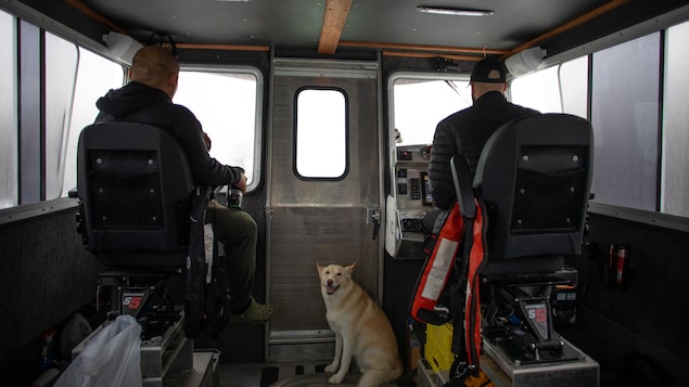 Deux personnes et un chien dans une cabine de bateau en train de naviguer, près de Klemtu, en Colombie-Britannique, en octobre 2023.