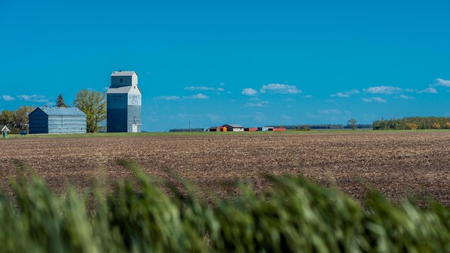 Un champ labouré avec dans le fond un ancien silo à grain, à Kaleida au Manitoba, début mai 2022.