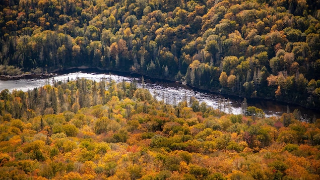 La rivière, vue d'une montagne. Les arbres, denses, entourent l'eau de celle-ci.
