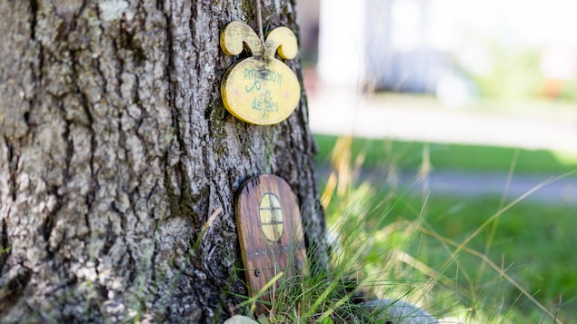 Une porte au pied d'un arbre.