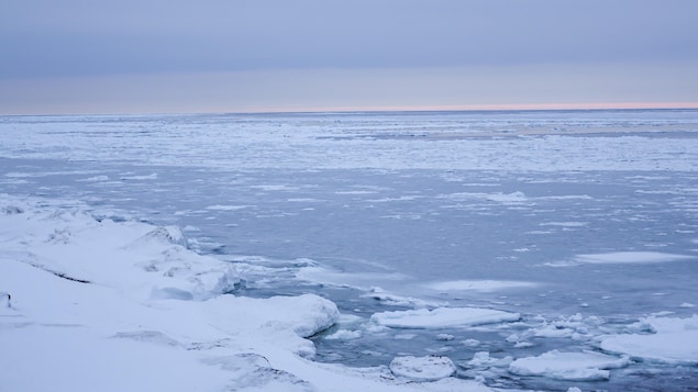 L'eau gelée du golfe du Saint-Laurent.