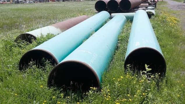 Des tuyaux de pipeline posés dans un champ.