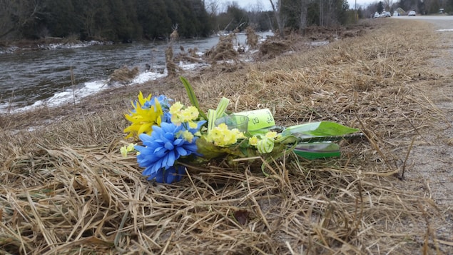 Photo de fleurs bleues et jaunes sur le sol près de la rivière. Photo de fleurs bleues et jaunes sur le sol près de la rivière.