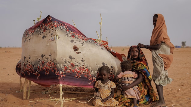 Des enfants près d'un abri de fortune, dans une zone désertique.