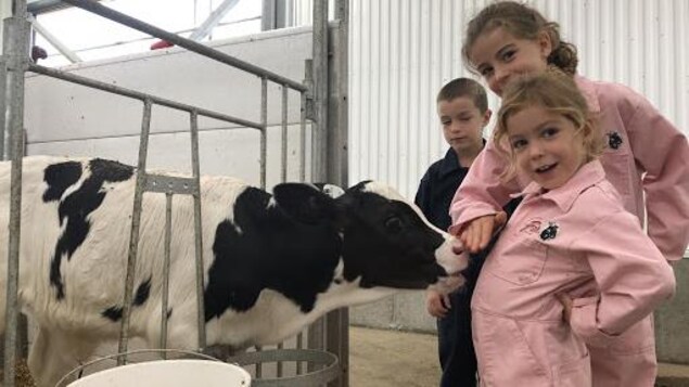 Les enfants de Maxime Béliveau en compagnie d'une des 85 vaches de la ferme familiale. Les enfants de Maxime Béliveau en compagnie d'une des 85 vaches de la ferme familiale.