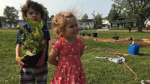 Des enfants sur le site de la forêt nourricière du Cégep de Saint-Félicien Des enfants sur le site de la forêt nourricière du Cégep de Saint-Félicien