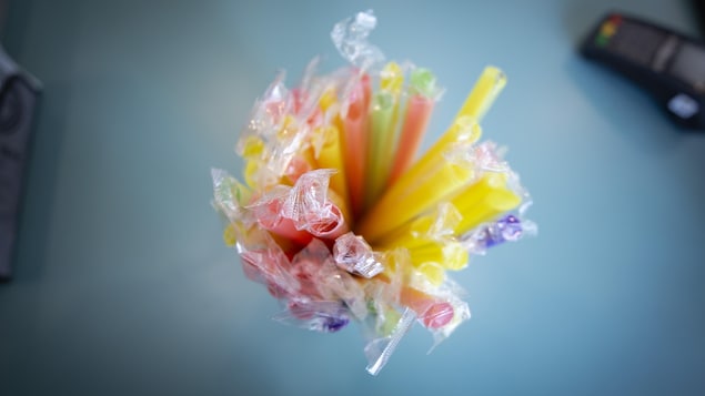 More than two dozen plastic makers are asking the Federal Court to put an end to Ottawa's plan to ban several single-use plastic items including straws, cutlery and takeout containers. 