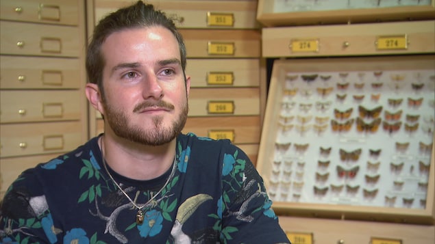L'entomologiste Pierre-Olivier Ouellet dans un local avec des collections de papillons derrière lui.