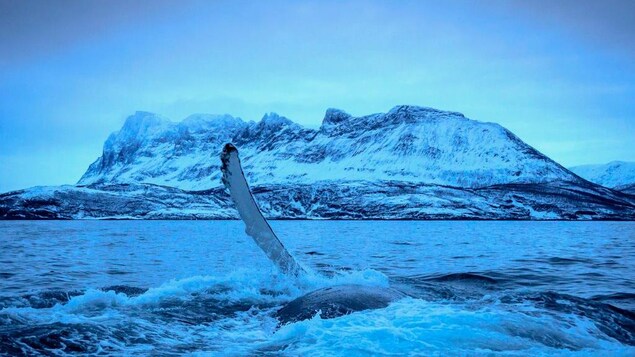 Comprendre le rôle de l’océan dans l’évolution du climat