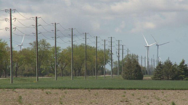 Des éoliennes dans un champ.