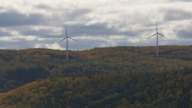 Deux éoliennes se trouvent au cœur d'une forêt à Matane.