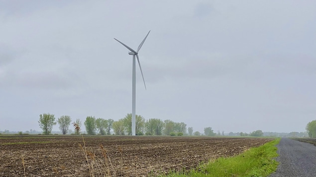 Une éolienne à Massueville dans un champ agricole un jour de pluie.