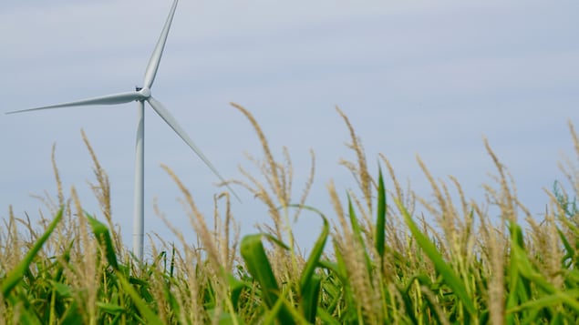 Éolienne près de Windsor Éolienne près de Windsor